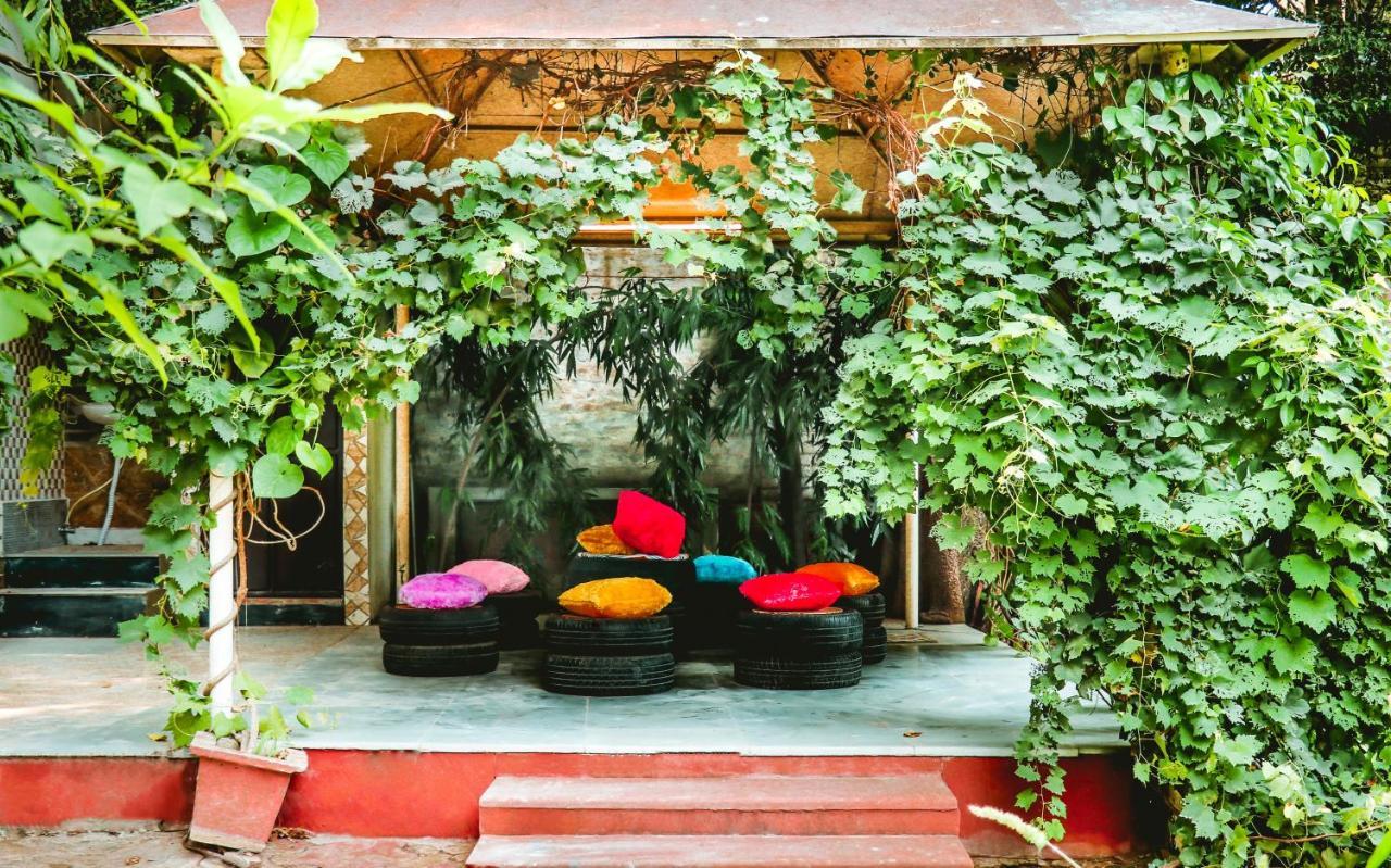 Farmstay - Capsule Den New Delhi Exterior foto